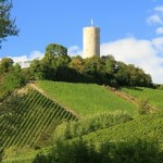 Rheingau Segway Tour de Kiedrich erledigt